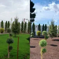 خدمات باغبانی هرسکاری گل کاری تعویض خاک گلدون