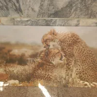 تابلو|تابلو، نقاشی، عکس|بروجرد, |دیوار