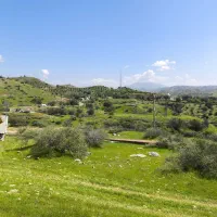 زمین-نیمه-مزاحم