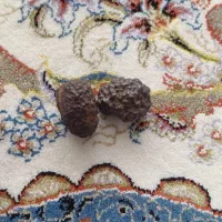 سنگ مشکوک به شهابسنگ