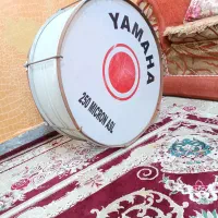 تبل پاماها