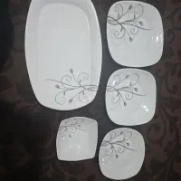 ظروف چینی