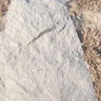 فروش معدن   در استان  اصفهان
