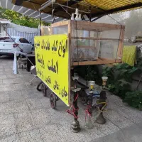 گاری کبابی فلافلی