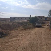 استخدام کارگر در اسفراین برای چوپانی