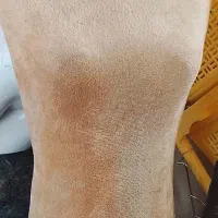 مانکن|فروشگاه و مغازه|بیرجند, |دیوار