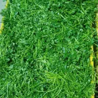 پخش سبزی پاک شده