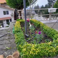 باغبانی،باغداری سمپاشی،هرس