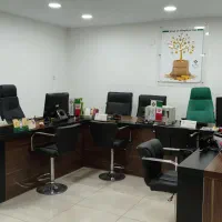 استخدام مشاور تلفنی در شرکت بیمه کارآفرین