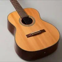 آموزش خصوصی گیتار