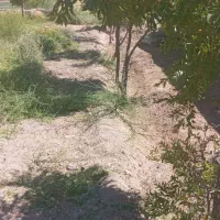 باغ-تقاب