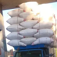 کاه درجه یک گندم دیم
