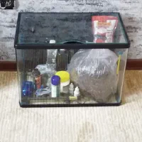 آکواریوم شرکتی با وسایل کامل