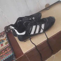 کفش استوک