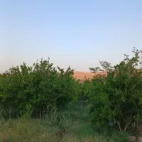 باغ-انار-خلج-اباد
