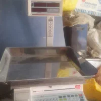 ترازو دیجیتال محک