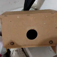 لونه پرنده