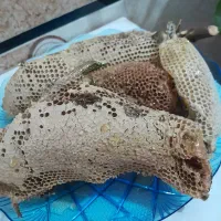 عسل امیدخوزستان تولیدکننده خالص ترین عسلهاایران