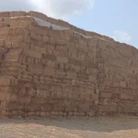 کاه|لوازم جانبی حیوانات|سمنان, |دیوار