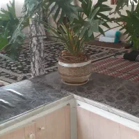 فروش ۷ تا گلدان بزرگ ویترینی