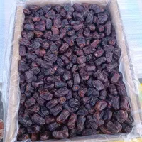 خرما مضافتی خوب حراج
