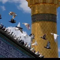 یه قدم به کربلایه قدم به آرامش تور دلارام۱۵مرداد