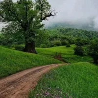 تورانزلی وماسال