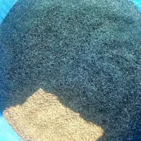 کرابیه زیره سبز
