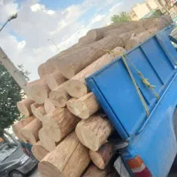 خرید وبرش وهرس چوب