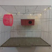 قفس ولونه چوبی سالم