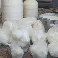 کره گوسفندی خالص یا روغن زرد