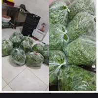 سبزی اماده تازه