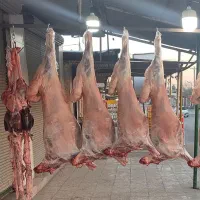 قصابی اهورا انواع گوشت تازه و درجه یک دربارانگرد