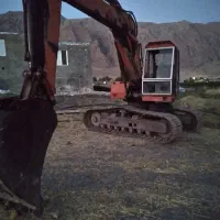 بیل اطلس زنجیری سالم کم کار