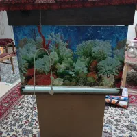 آکواریم با کمد پایه