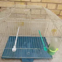 قفس پرنده