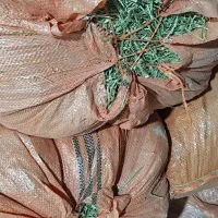 یونجه|لوازم جانبی حیوانات|بوشهر, |دیوار