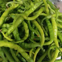 فلفل|خوردنی و آشامیدنی|سراب, |دیوار