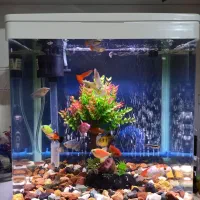 سلام اکواریم فروشی