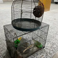 فروش ۳تا قفس بزرگ و سالم پرنده