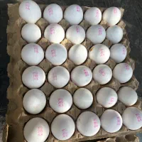 تخم مرغ سفید