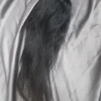 موی طبیعی مشکی