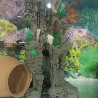 وسایل آکواریوم