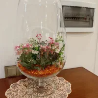 تنگ ترکیه