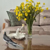 عروس هلندی