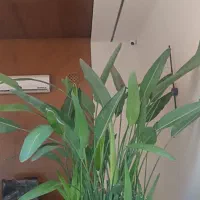 خرده کاری ساختمان