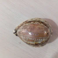 صدف هکاکی شده و نقره کاری شده برای کلکسیون