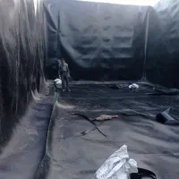 اجرای استخر پلیمری ژوممبران