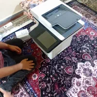 پرینتر اچ پی
