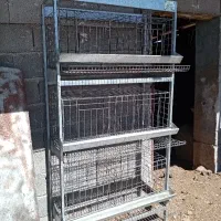 قفس مرغ تخم گذار